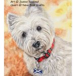 (image for) Geordie (the Westie)